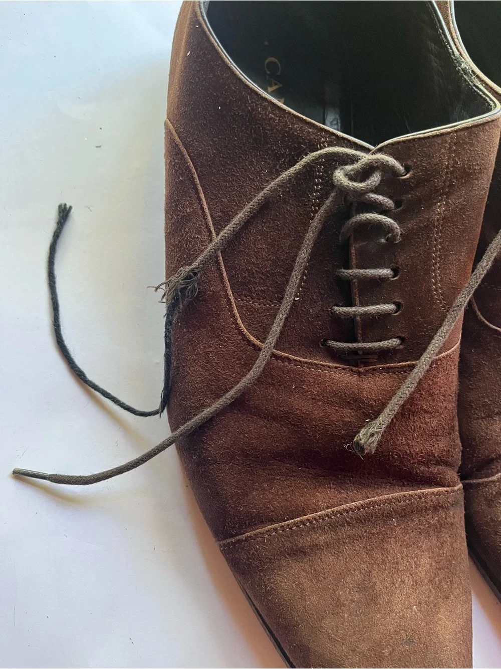 Canali Dark Brown Suede Cap Toe Oxford Dress Shoes